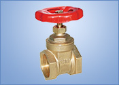 Brass gate valve