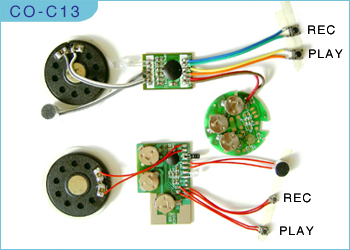 Voice module