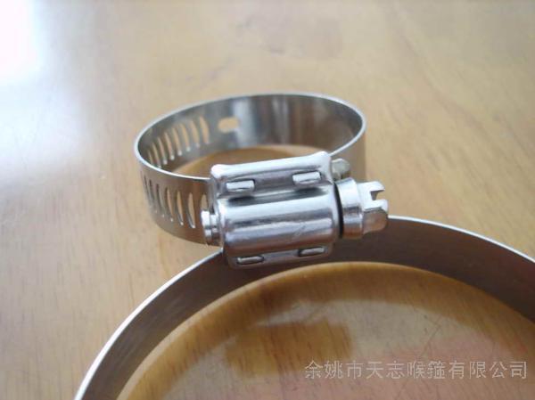 Worm drive hose clamp