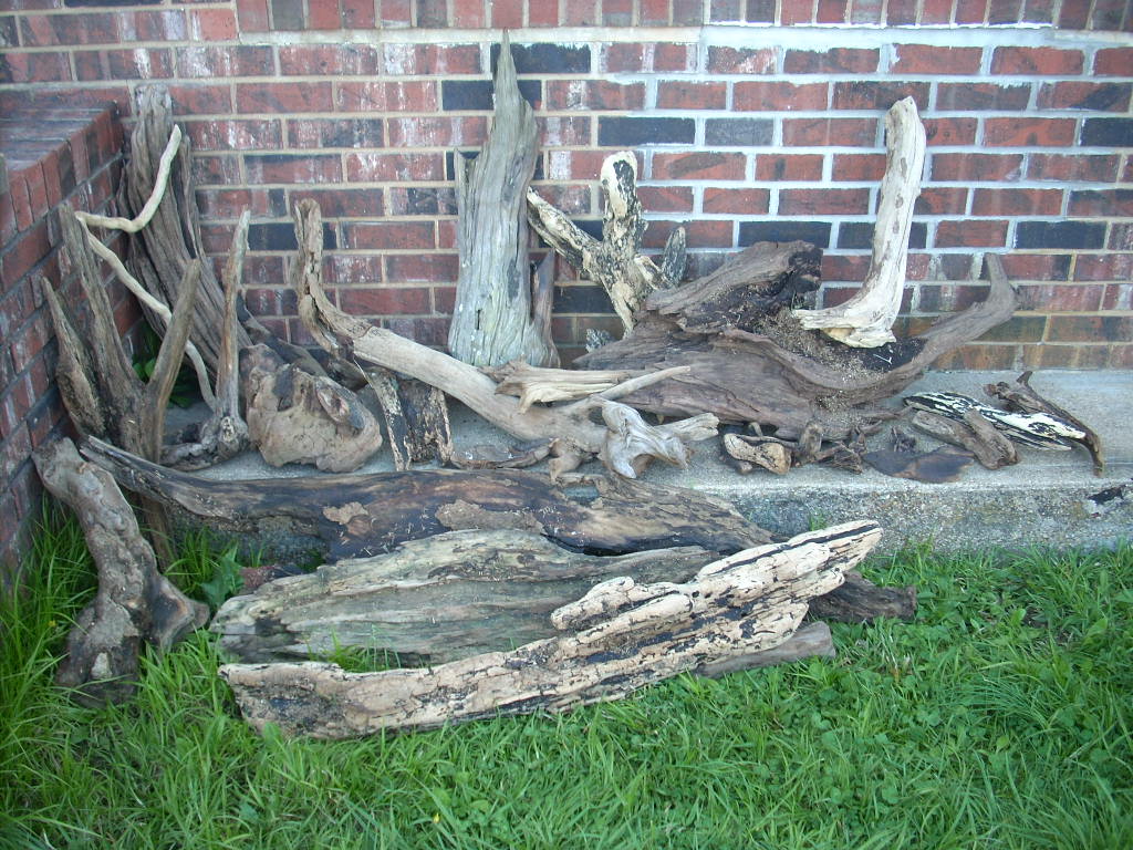 driftwood