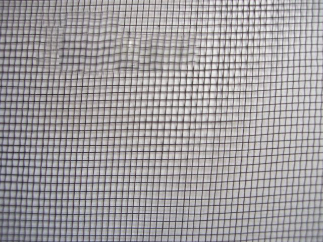 window screen