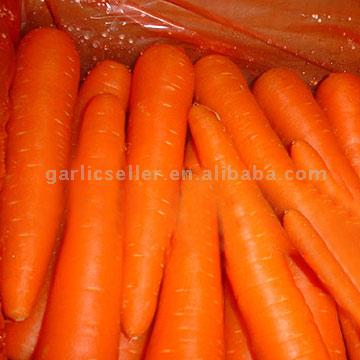 fresh carrot