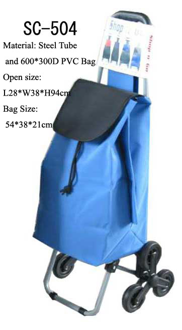 Shopping cart with bag