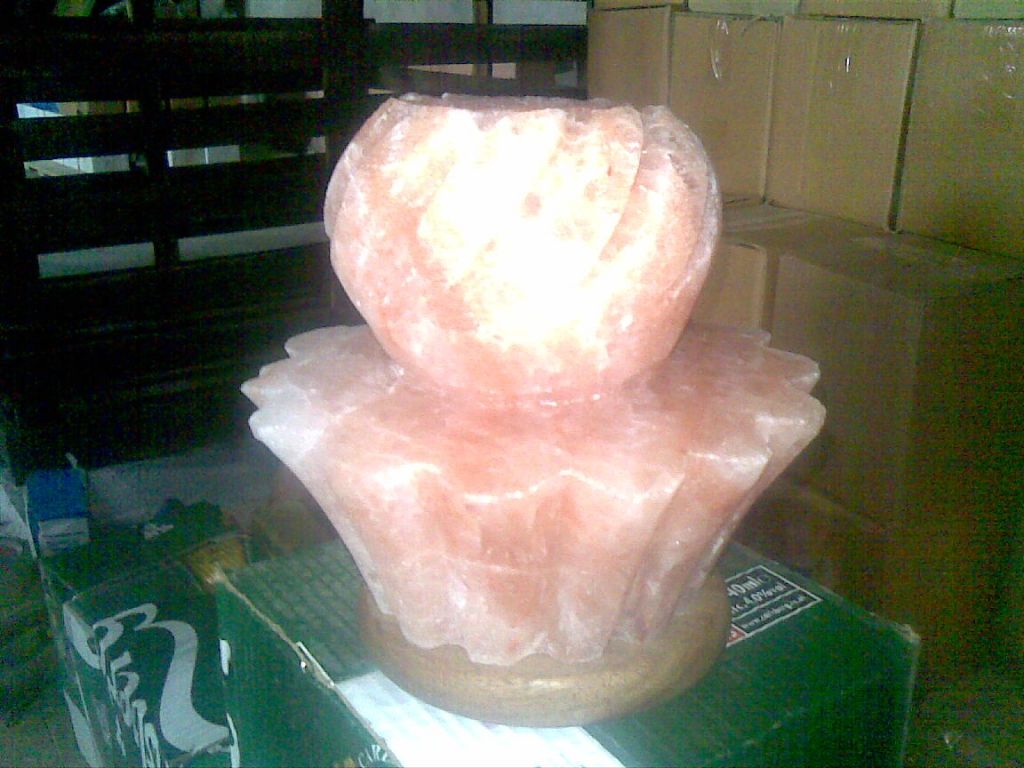 Himalayan Flower salt lamps/ Himalayan Animal Salt lamps/ Natural Salt Lamps