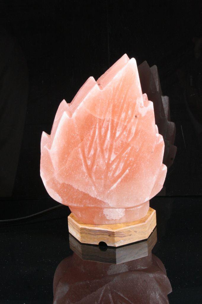 Himalayan Flower salt lamps/ Himalayan Animal Salt lamps/ Natural Salt Lamps