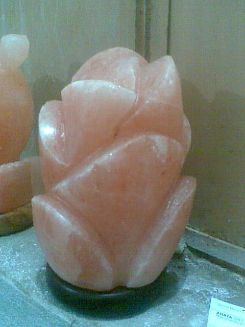 Himalayan Flower salt lamps/ Himalayan Animal Salt lamps/ Natural Salt Lamps