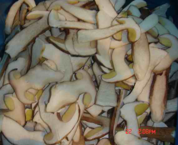 iqf boletus edulis