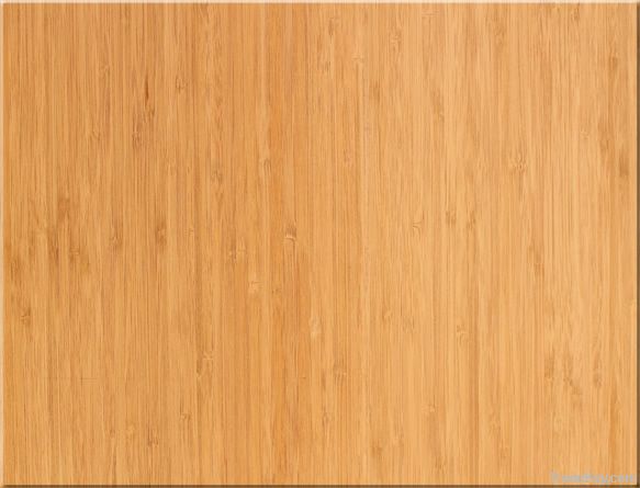 Bamboo Veneer