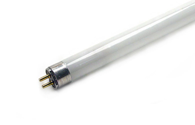 Fluorescent Lamp