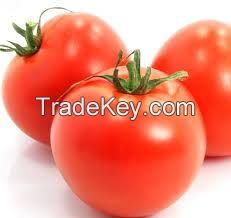 Lycopene