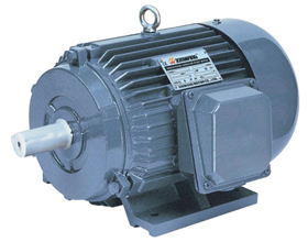 Y series three phase induction motor