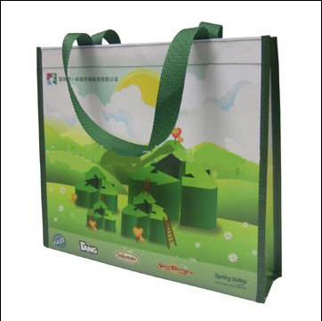 Shopping Bag