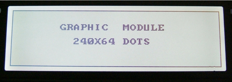 Graphic LCD Module