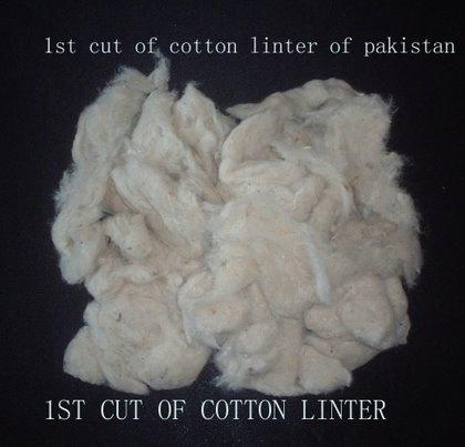 Cotton Linter