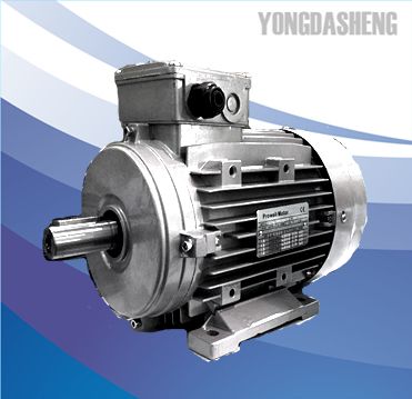 IE3 series Standard Efficiency Electric Motor