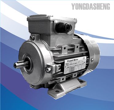 MS series Three Phase Alumium Alloy Housing Electric Motor