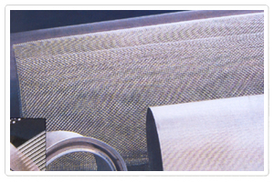 Stainless Steel Wire Mesh