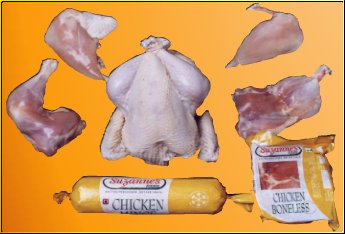 Raw Meat:Cuts of Chicken