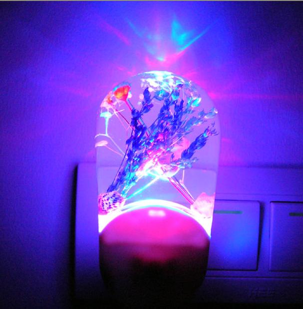 LED Night Light