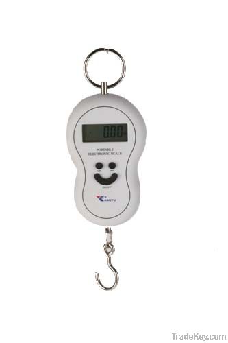 10-40KG PL hanging scales