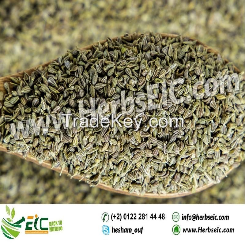 Anise Seed