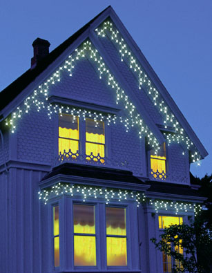 LED Holiday Light