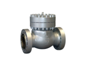 check valve