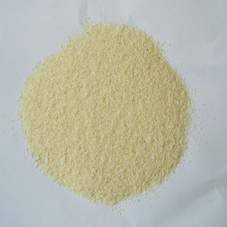 2011 Crop Dehydrated Garlic Granules