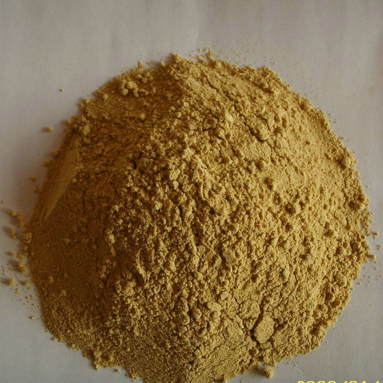 Dehydrated Ginger Powder