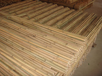 Tonkin bamboo cane