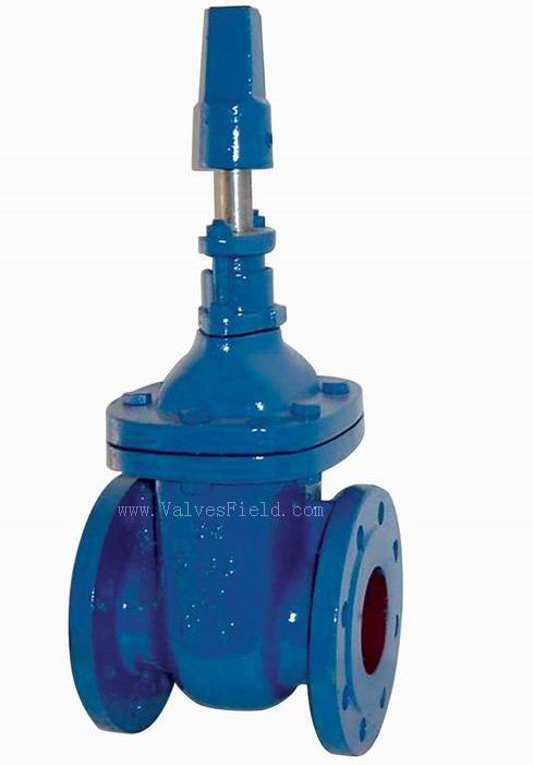 Gate Valves BS5163