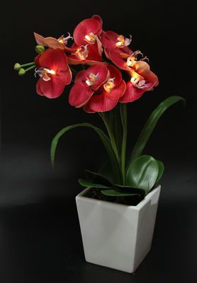 Artificial Lighted Flower - Orchids