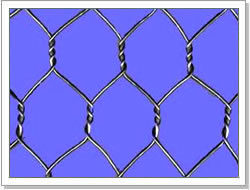 hexagonal wire netting