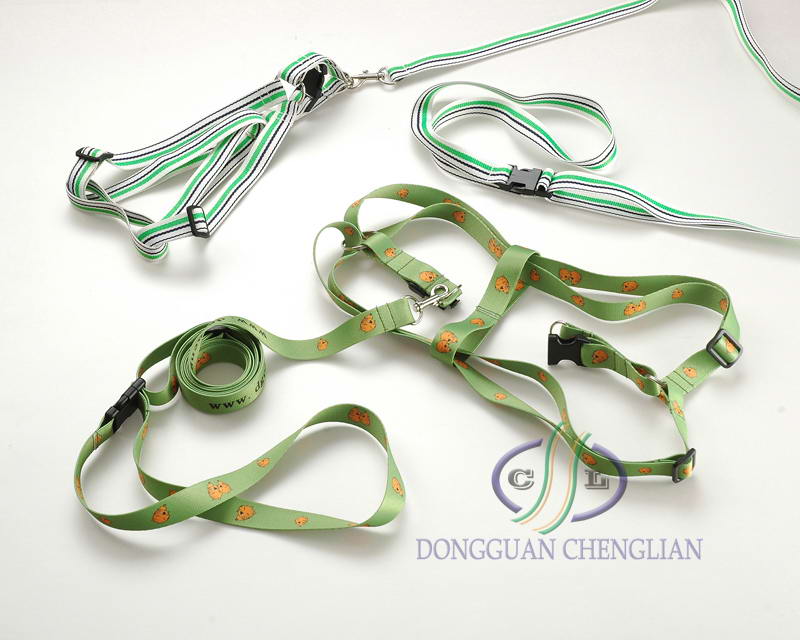 Pet Leash