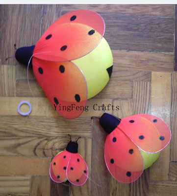 Ladybug