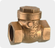 Check Valves