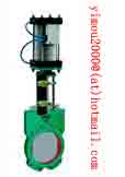 Slurry Valve