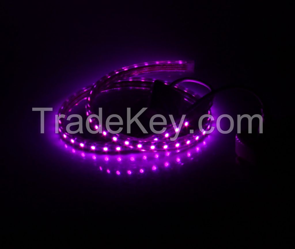 Non-Waterproof LED Strip