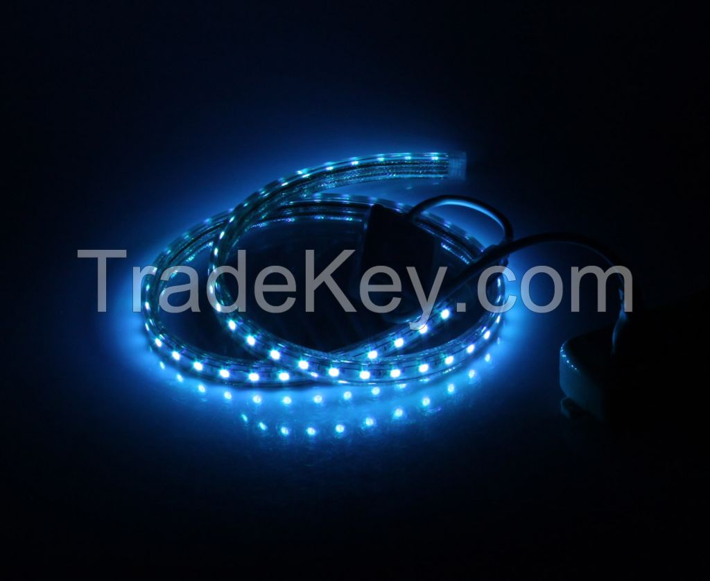 IP65 silicon tube waterproof led strip