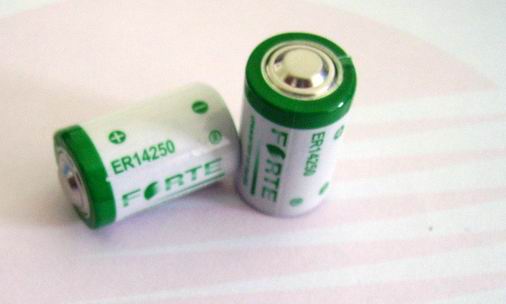 ER34615 ER34615H ER34615M  LS33600 D size 3.6V 19000mAh