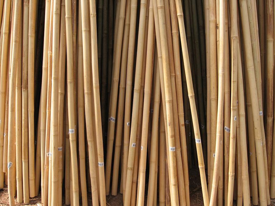 Bamboo Stakes, Bamboo poles