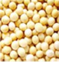 soybean peptide