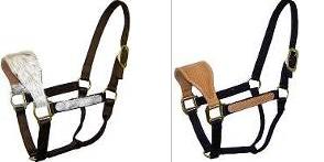 horse halter