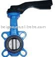 Wafer type Butterfly Valve