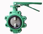 Lug type Butterfly Valve