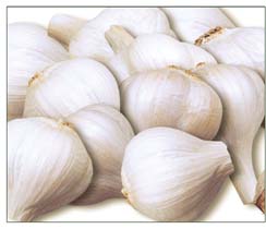 garlic (&quot;china top brand&quot;)