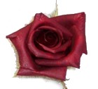 Freeze dried rose petals