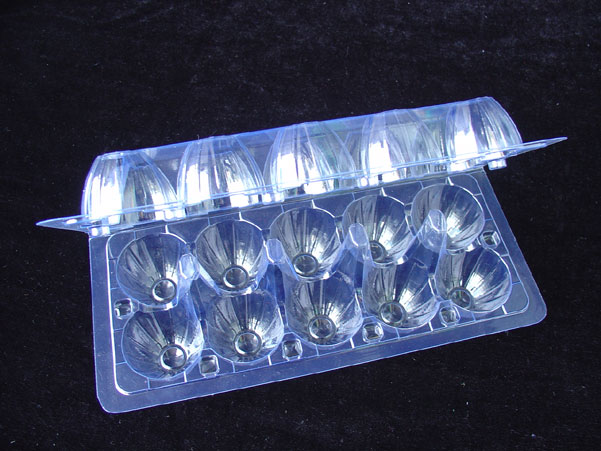 10 Egg Tray