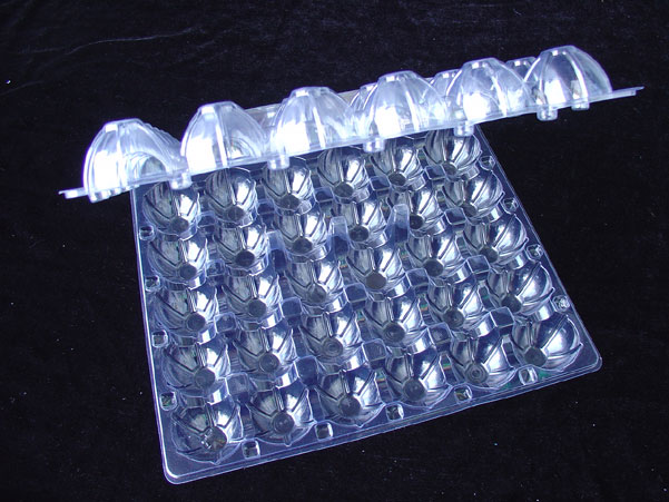 30 Egg Tray