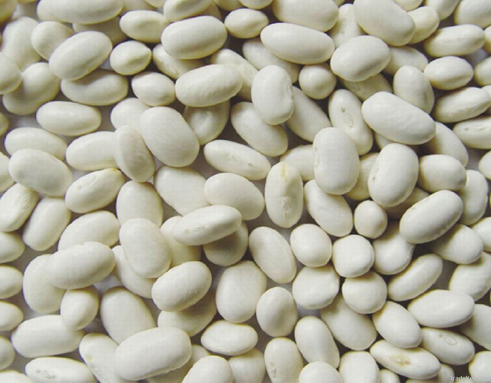 Organic White Beans